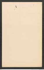 k.k. naturhistorisches Hofmuseum, Intendanzakten 1885-1896 (Hauer), Aktenzahl Z.554.a/1890, Seite 4